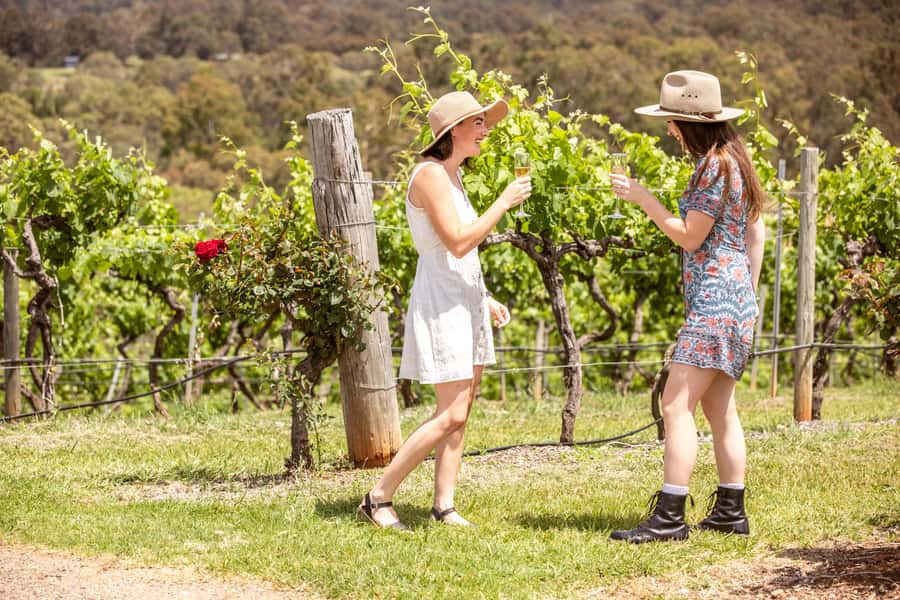 Pokolbin: Picnic & Wine Tasting at Audrey Wilkinson Vineyard - Why the view matters