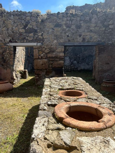 Pompeii and Vesuvius Cellars: Tour with Pick-Up in Positano - Should you book the Pompeii and Vesuvius Cellars tour?