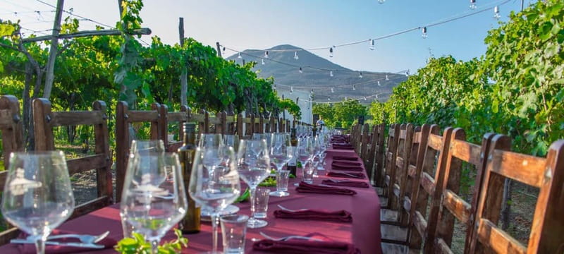 Pompeii and Vesuvius Cellars: Tour with Pick-Up in Positano - Two hours among Pompeii’s houses and temples