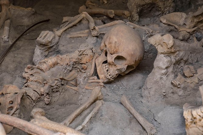 Pompeii, Herculaneum and Winery on Vesuvius with an Archaeologist - Herculaneum’s houses show Roman luxury