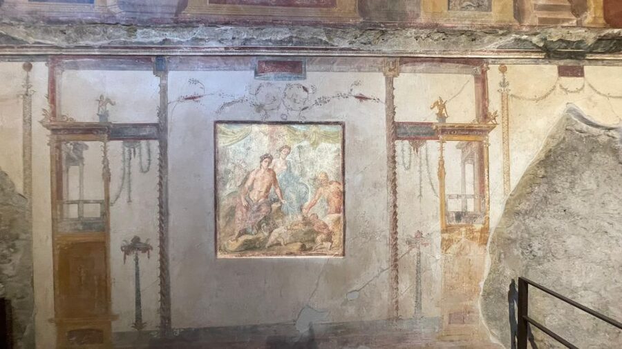 Pompeii-Vesuvius & Winery All Inclusive Tour From Positano - Group size, guides, and the pace of the day