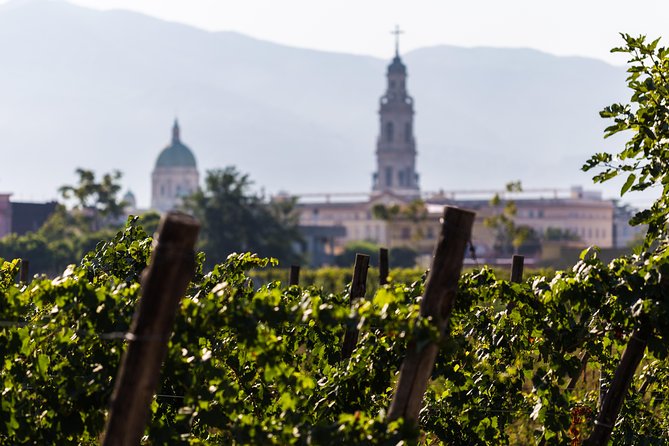 Pompeii Vineyard Escape: Private Wine Tasting & Lunch - Starting at Via Antonio Segni