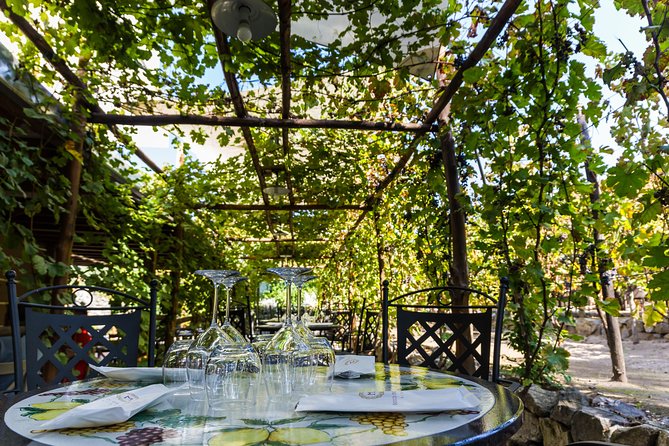 Pompeii Vineyard Escape: Private Wine Tasting & Lunch - Seeing the winemaking and refining rooms