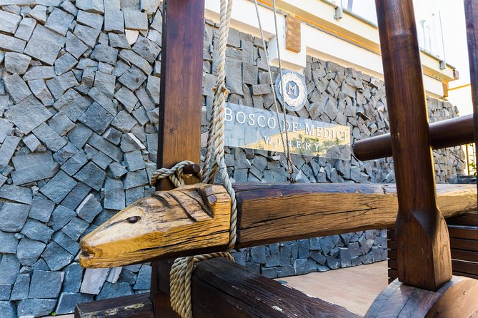 Pompeii Vineyard Escape: Private Wine Tasting & Lunch - Touring the experimental vineyard