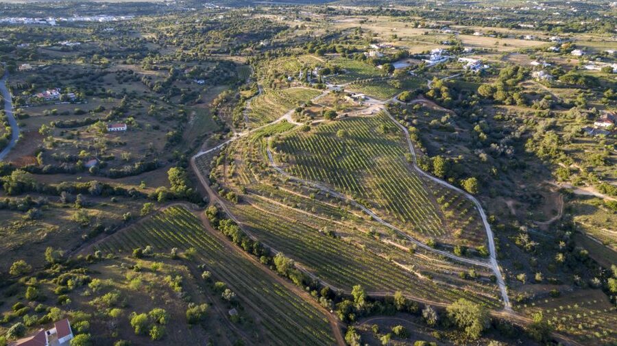 Porches: Algarve Vineyard Tour and Wine Tasting Experience - Key points to know before booking