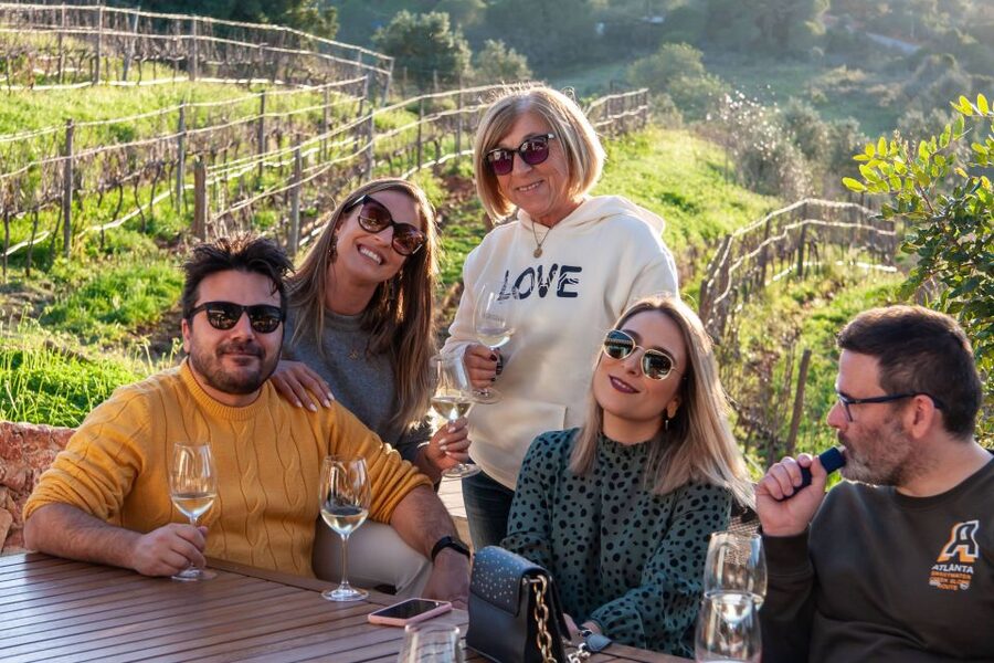 Porches: Algarve Vineyard Tour and Wine Tasting Experience - Four Algarve wines and a generous table of tapas