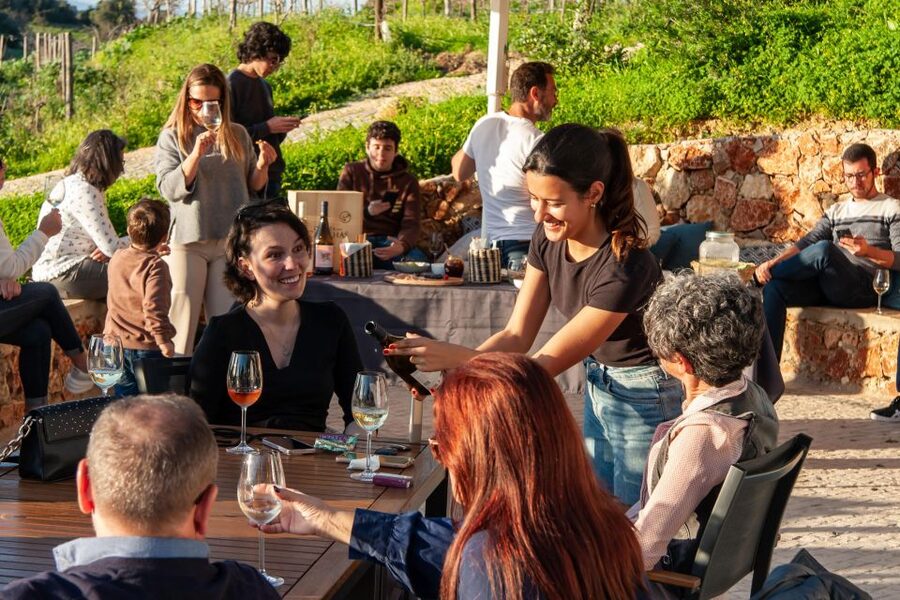 Porches: Algarve Vineyard Tour and Wine Tasting Experience - How the $91 price works out