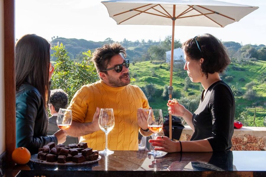 Porches: Algarve Vineyard Tour and Wine Tasting Experience - Who will enjoy this most