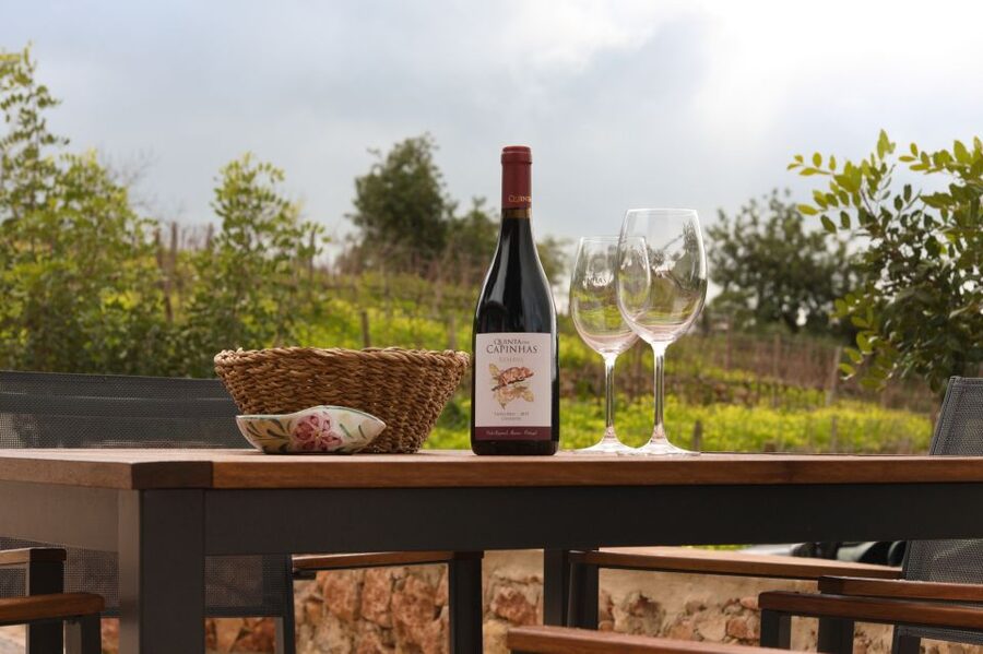 Porches: Algarve Vineyard Tour and Wine Tasting Experience - Booking, cancellation, and useful planning details