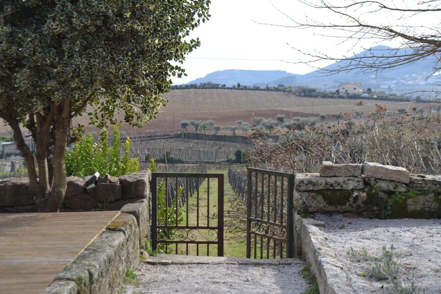 Porto: 3 Douro Valley Vineyards Tour with Lunch - Should you book it?