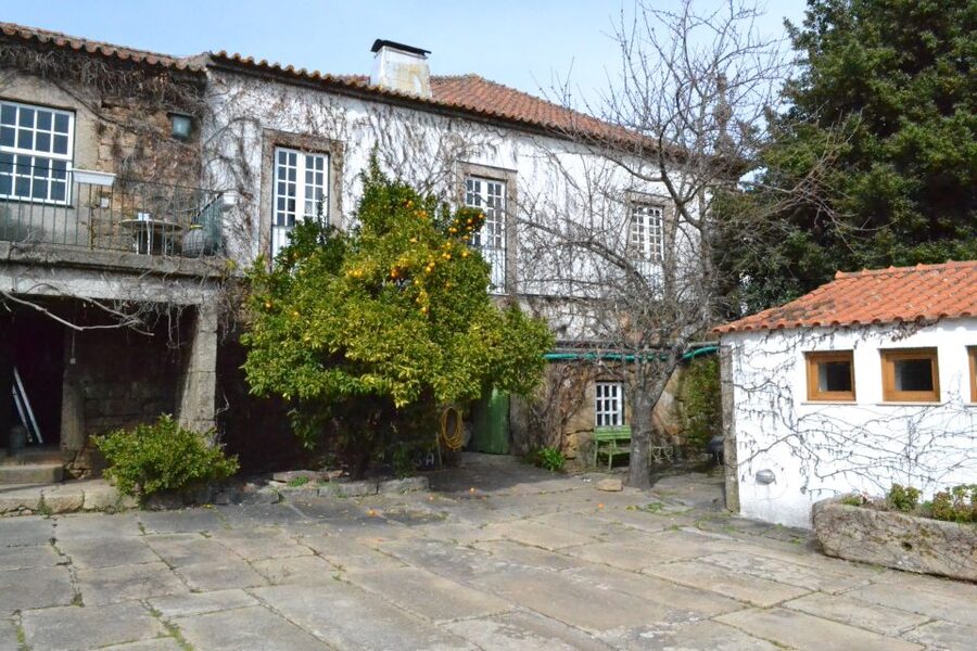Porto: 3 Douro Valley Vineyards Tour with Lunch - Why the Douro Valley makes a good day from Porto