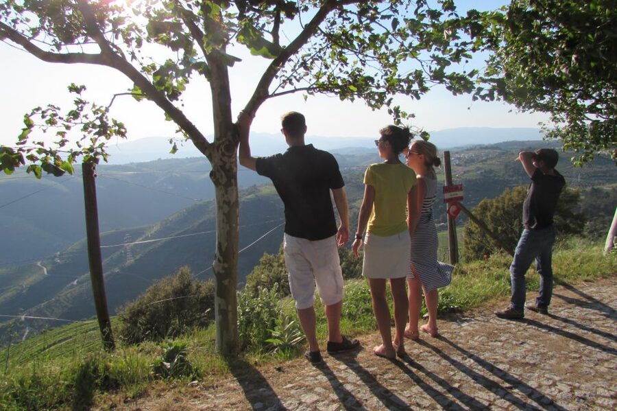 Porto: 3 Douro Valley Vineyards Tour with Lunch - First vineyard: a gentle introduction to Douro wine