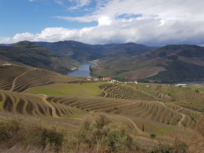Porto: 3 Douro Valley Vineyards Tour with Lunch - The N222 and the long ride back to Porto