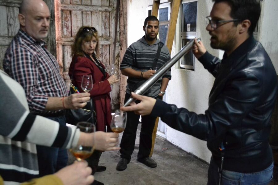 Porto: 3 Douro Valley Vineyards Tour with Lunch - Guides, group size, and the feel of the day