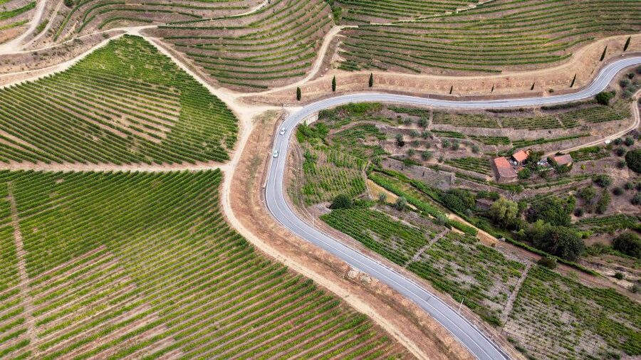 Porto: 3 Wine Regions & Farm Lunch with Views Small-Group - Is $118 a fair price?