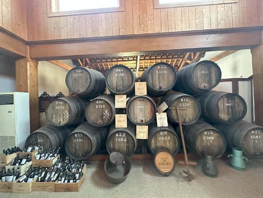Porto: 3 Wine Regions & Farm Lunch with Views Small-Group - Why the Douro works best as a full-day trip