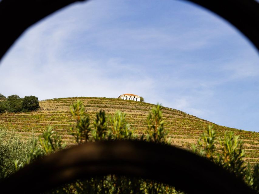 Porto: 3 Wine Regions & Farm Lunch with Views Small-Group - The third estate adds another point of view