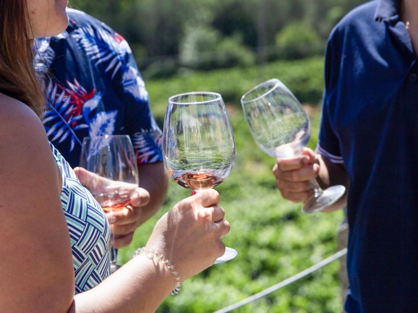 Porto: 3 Wine Regions & Farm Lunch with Views Small-Group - What the small group changes