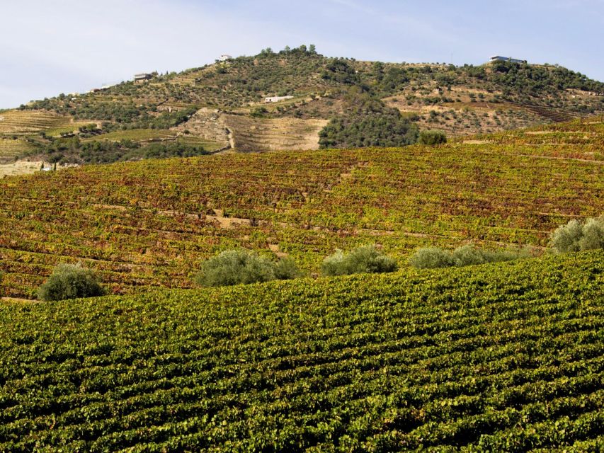 Porto: 3 Wine Regions & Farm Lunch with Views Small-Group - Transport is comfortable, but the road takes time
