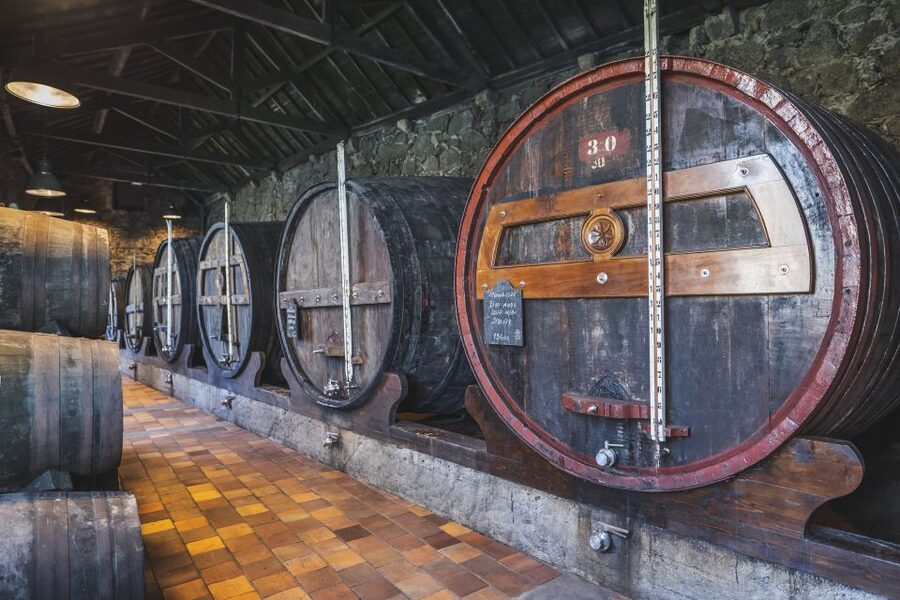 Porto: Burmester Cellar Tour with Tasting & Pairing Options - Key points to know before you book