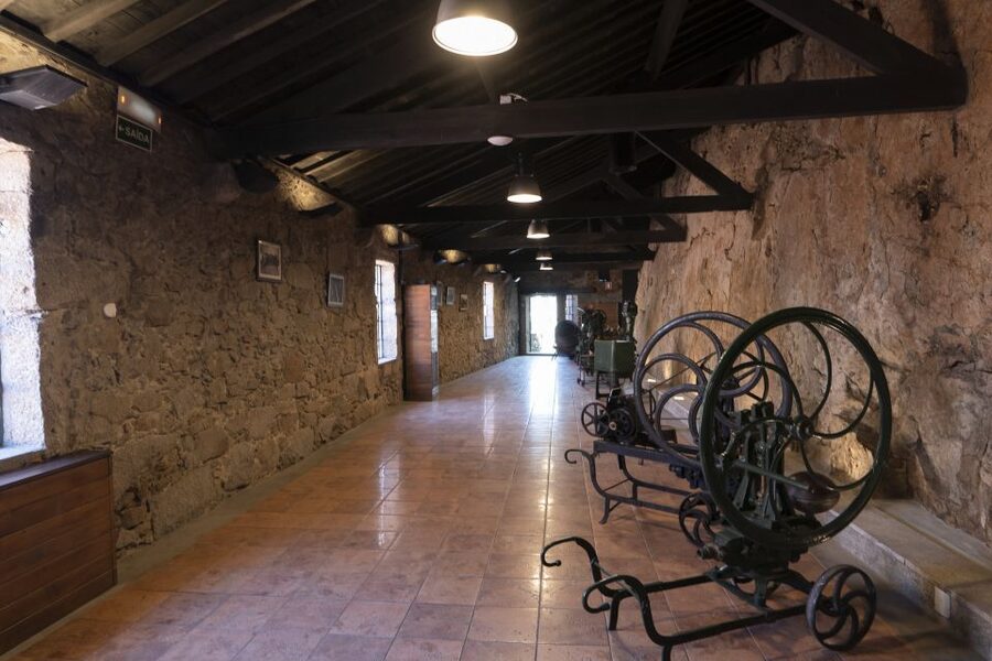Porto: Burmester Cellar Tour with Tasting & Pairing Options - Is $25 a fair price?