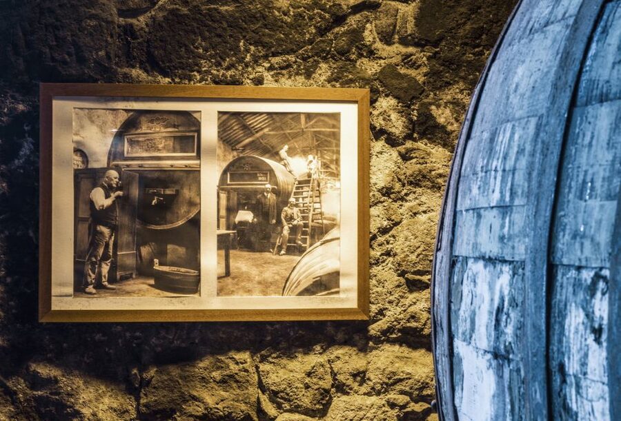 Porto: Burmester Cellar Tour with Tasting & Pairing Options - Group size and noise matter