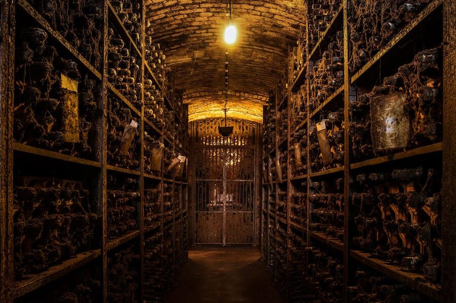 Porto: Carvalhas cellar tour at Real Companhia Velha - Key points before you book