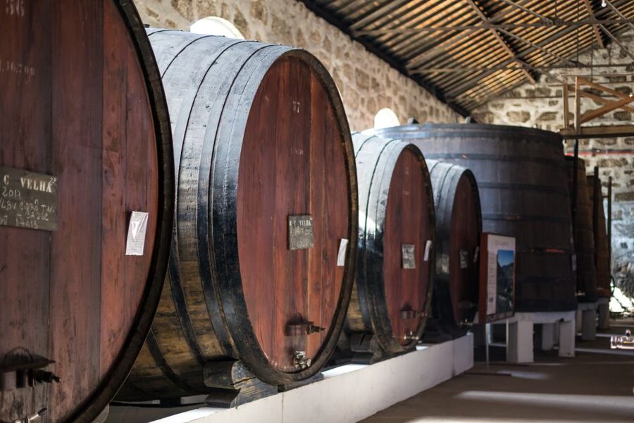Porto: City Train Tour, River Cruise & Wine Cellar - The one-hour Douro cruise