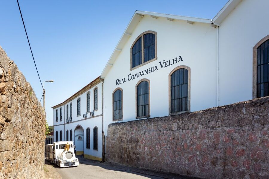 Porto: City Train Tour, River Cruise & Wine Cellar - How to plan the three hours