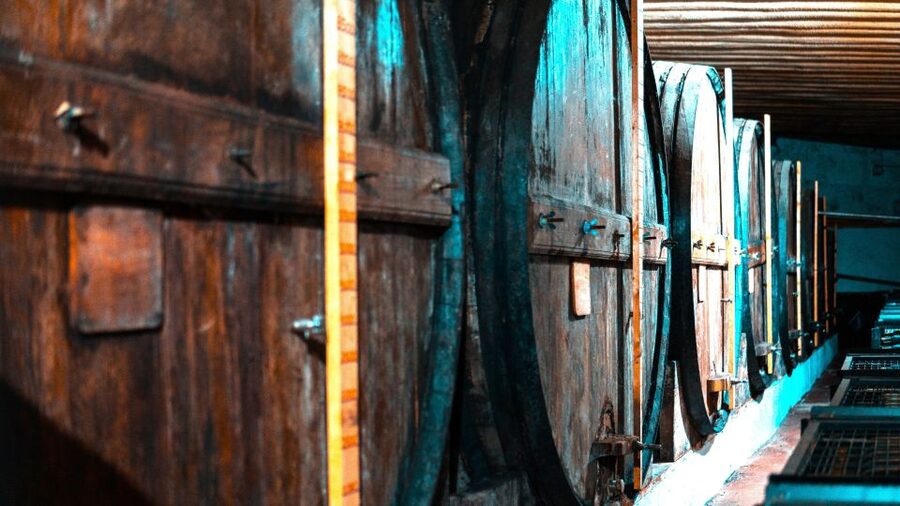 Porto: Douro Valley Private Grand Experience - Private - The historic winery and its family tradition