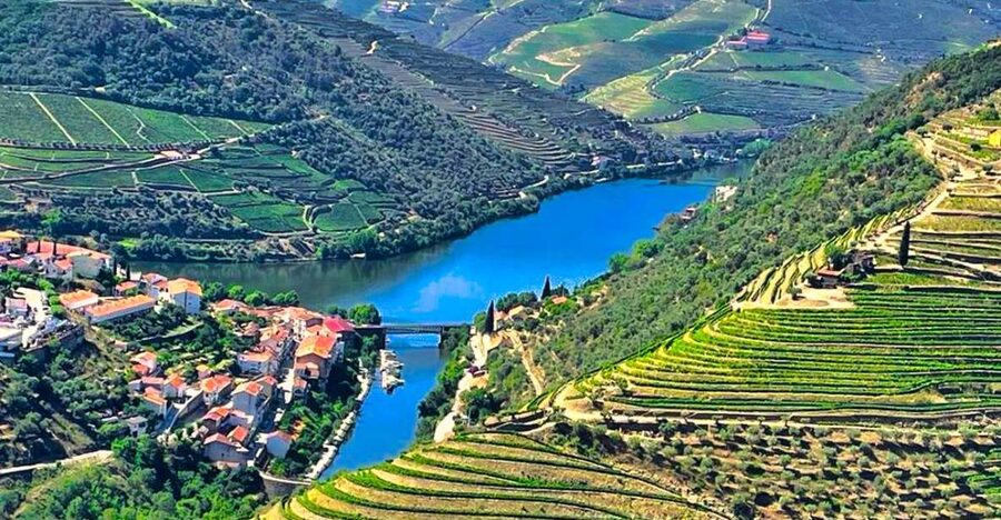 Porto: Douro Valley Private Tour 2 Vineyards & River Cruise - Key points at a glance