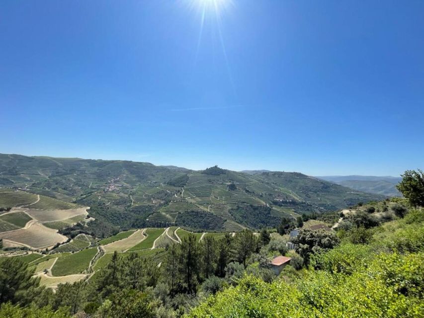 Porto: Douro Valley Private Tour 2 Vineyards & River Cruise - Who should book this tour