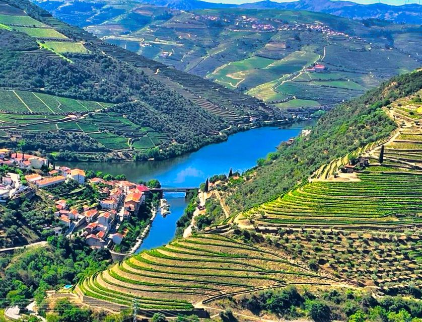 Porto: Douro Valley Private Tour 2 Vineyards & River Cruise - Why this Douro Valley day works so well