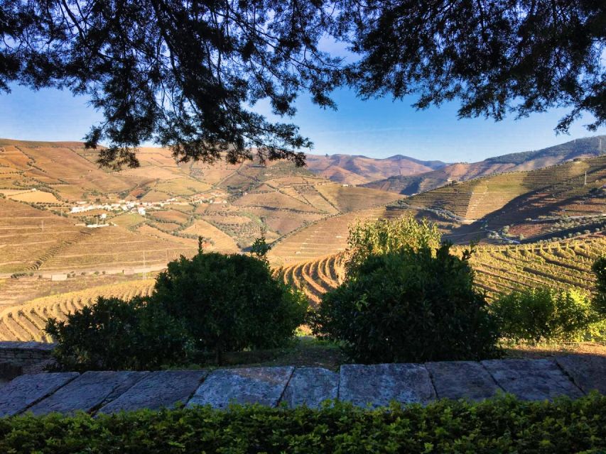 Porto: Douro Valley Private Tour 2 Vineyards & River Cruise - Lunch above the terraced vineyards