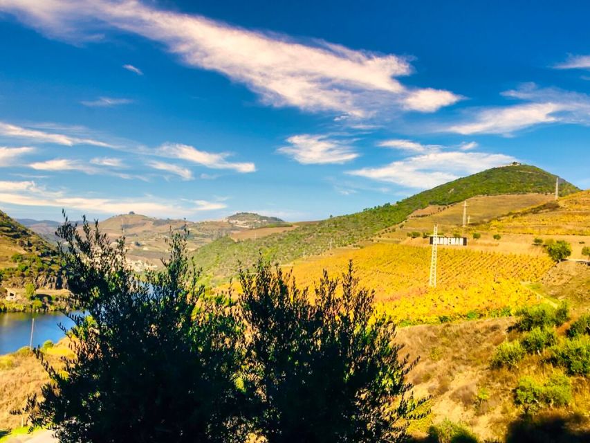 Porto: Douro Valley Private Tour 2 Vineyards & River Cruise - What the $577 private price really buys