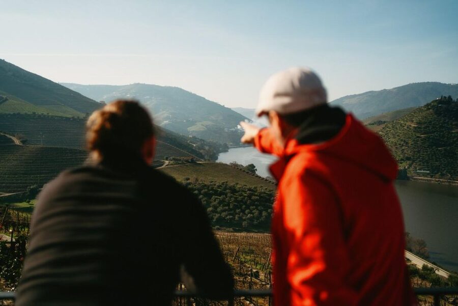 Porto: Douro Valley Tour with 2 Wineries, Lunch and Cruise - Who should book this Douro Valley tour?