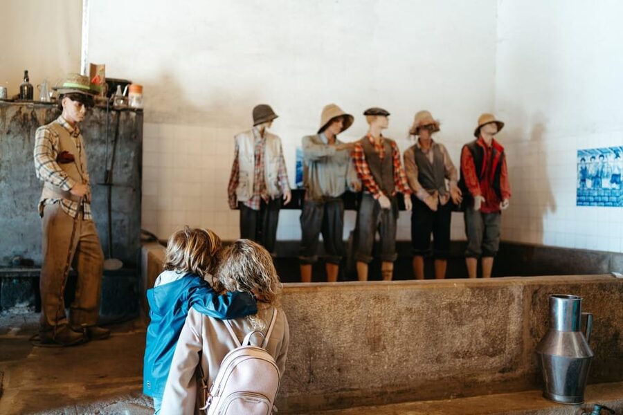 Porto: Douro Valley Tour with 2 Wineries, Lunch and Cruise - The guide can shape the entire day