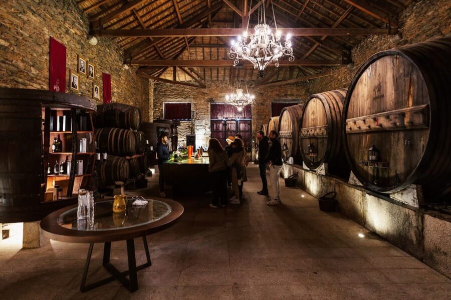 Porto: Douro Valley Tour with 2 Wineries, Lunch and Cruise - Is $117 good value?