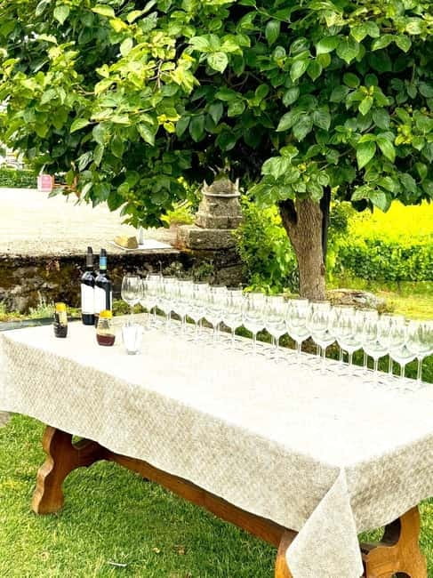 Porto: Douro Valley Tour with 3 Wineries and Lunch - Key points to know before booking