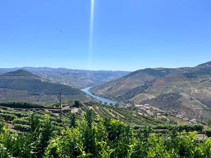 Porto: Douro Valley Tour with 3 Wineries and Lunch - The N222 brings the valley into view