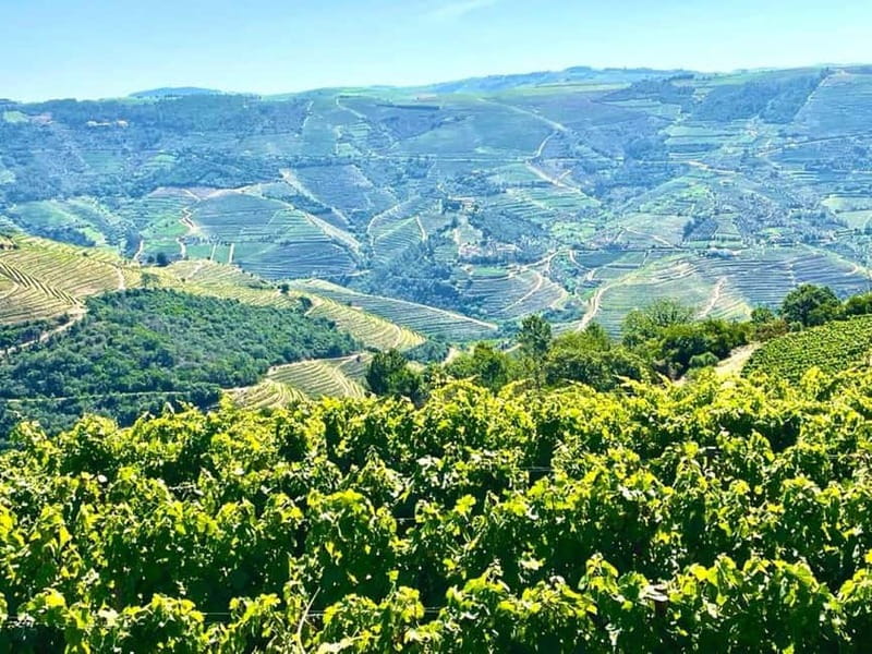 Porto: Douro Valley Tour with 3 Wineries and Lunch - Pinhão brings the first winery tasting