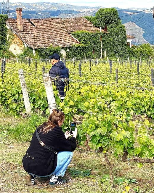 Porto: Douro Valley Tour with 3 Wineries and Lunch - Sabrosa is the day’s food and wine center