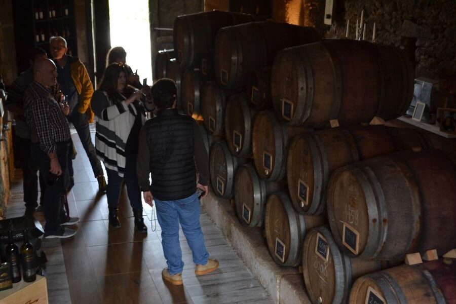 Porto: Douro Valley Vineyards Tour with Lunch & River Cruise - Key points to know before you go