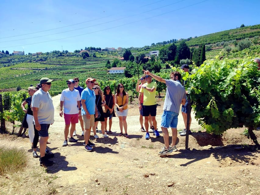 Porto: Douro Valley Vineyards Tour with Lunch & River Cruise - Why the Douro Valley deserves a full day from Porto