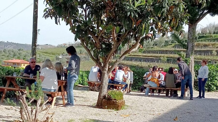 Porto: Douro Valley Vineyards Tour with Lunch & River Cruise - Is $111 good value?