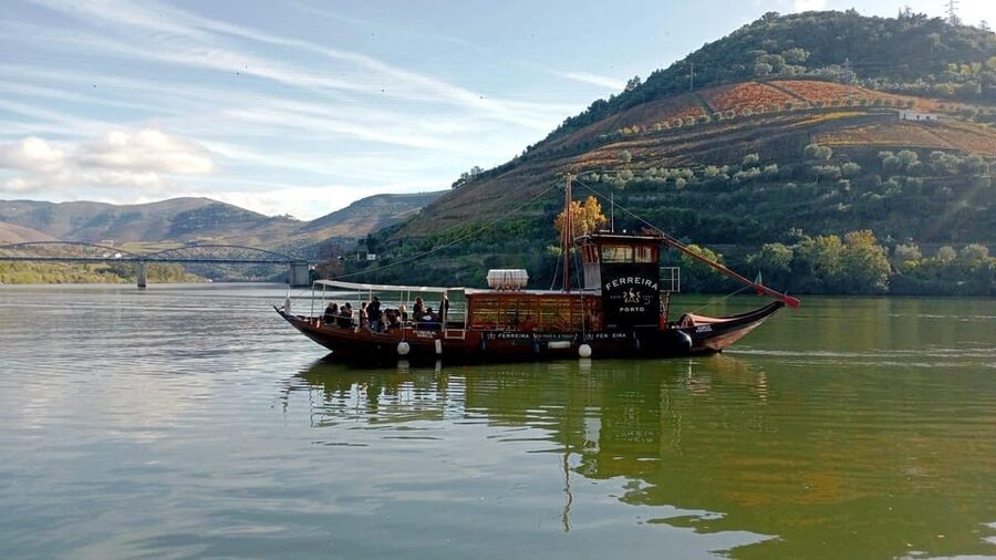 Porto: Douro Valley Vineyards Tour with Lunch & River Cruise - Who should book this Douro Valley day?