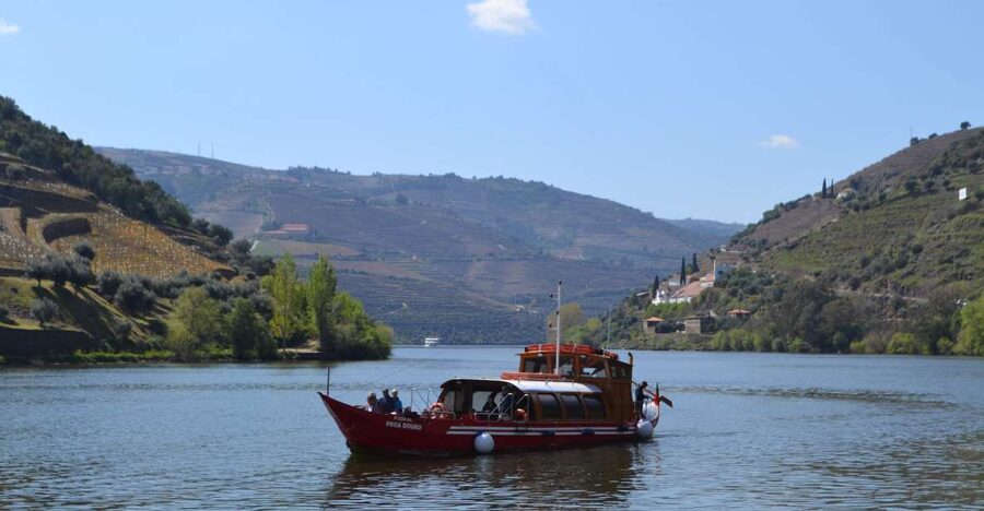 Porto: Douro Valley Vineyards Tour with Lunch & River Cruise - Starting in Porto: pickup details that matter