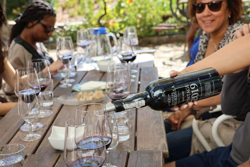 Porto: Douro Valley with Small Wineries, Lunch and Boat Tour - Key points at a glance