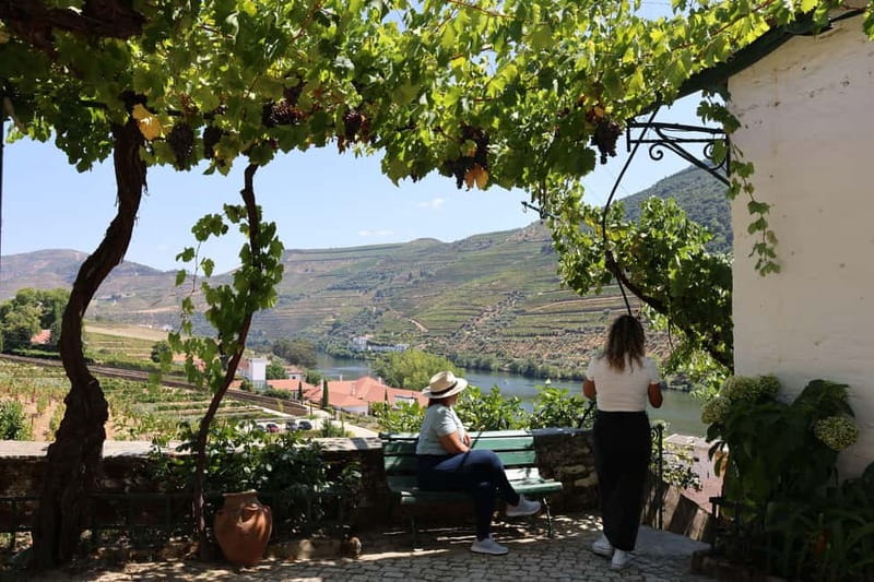 Porto: Douro Valley with Small Wineries, Lunch and Boat Tour - Practical details before you book