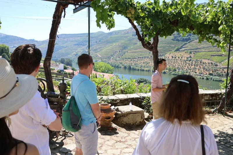 Porto: Douro Valley with Small Wineries, Lunch and Boat Tour - Pinhão, lunch, and the Douro River